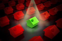house-blog
