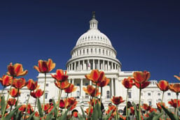 U.S. Capitol building 