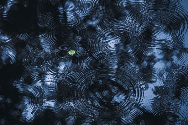 Photograph of a green leaf in a blue pond with raindrops, by Artem Sapegin