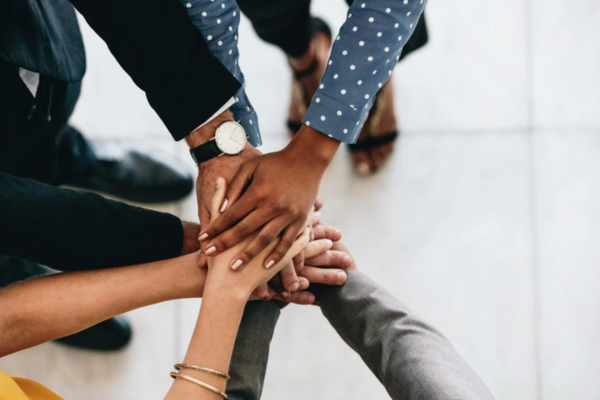 Board members hands in the middle