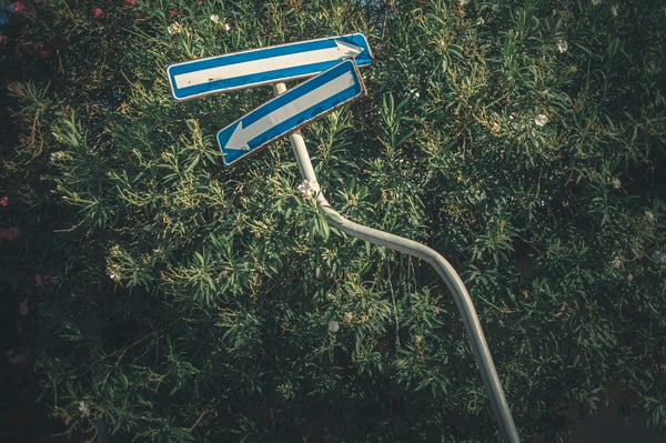 Blog image with a sign post pointing in two different directions on a bed of grass